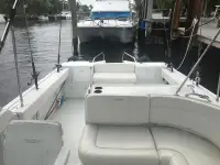 Glacier Bay Renegade