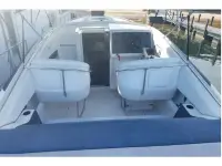 Chris Craft Stinger
