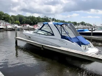 Formula 310 SS 