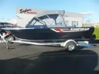 Kingfisher 2025 xl falcon 