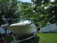 Sea Ray Sundancer 270 Sundancer 