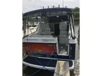 Bayliner 246 Discovery 