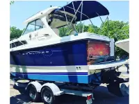 Bayliner 246 Discovery 