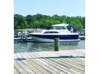 Bayliner 246 Discovery 