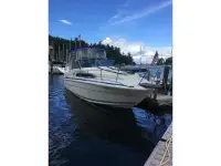 Sea Ray Sundancer 260 Sundancer EX 