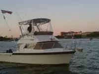 Chris Craft COMMANDER 315 