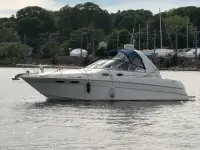 Sea Ray Sundancer 290 Sundancer 