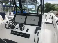 Renegade 38cc 