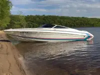 Formula 252 LS 