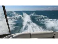 Cruisers 3672 Express 
