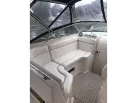 Rinker Fiesta Vee 270