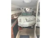 Rinker Fiesta Vee 270