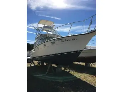 Tiara 31 Open