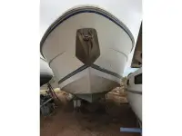 Baia b43 Force One