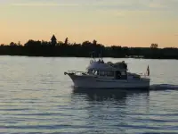 Albin Trawler 