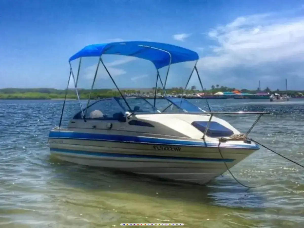 Bayliner Capri 