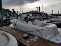 Sea Ray Amberjack 