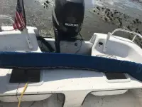 Carolina Skiff 24 DLX 