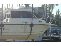 Trophy 2359 WA Hardtop