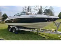 Chaparral 220SI
