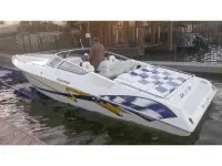 Fountain Fever SCI 600 