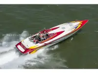Eliminator Eagle 