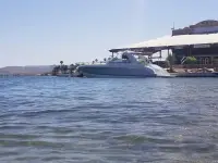Formula 370SS