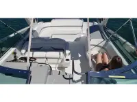 Formula 370SS