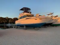 Sea Ray Sedan Bridge 