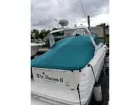 Sea Ray Sundancer 300 Sundancer 