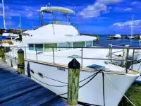 Lagoon Lagoon Power 43 
