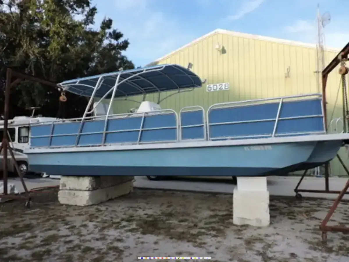 Catamaran Coaches 29X 10 
