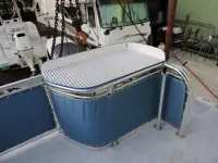 Catamaran Coaches 29X 10