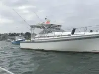 Luhrs Alura 