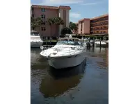 Sea Ray Sundancer 370 Sundancer 