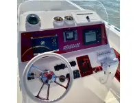 Renegade 29cc Cuddy 