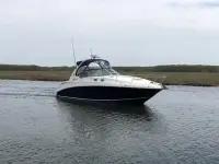 Sea Ray Sundancer 