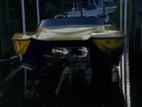 Liberator 30 Cat