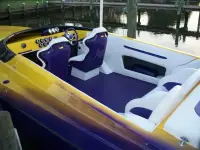 Liberator 30 Cat