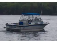 Bayliner Trophy 