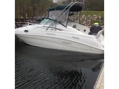 Rinker Festa vee 266 