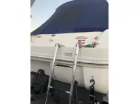 Sea Ray Sundancer 
