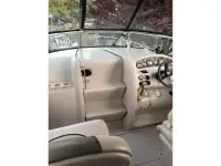 Sea Ray Sundancer 