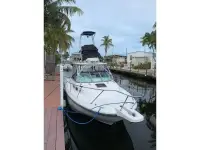 Boston Whaler Conquest 