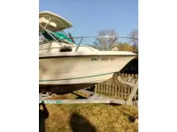 Sea Pro 210