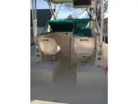 Sea Pro 210