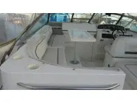 Sea Ray Amberjack 310 Amberjack