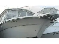 Sea Ray Amberjack 310 Amberjack 