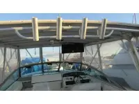 Sea Ray Amberjack 310 Amberjack