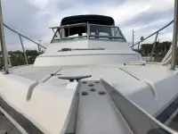 Tiara Pursuit 